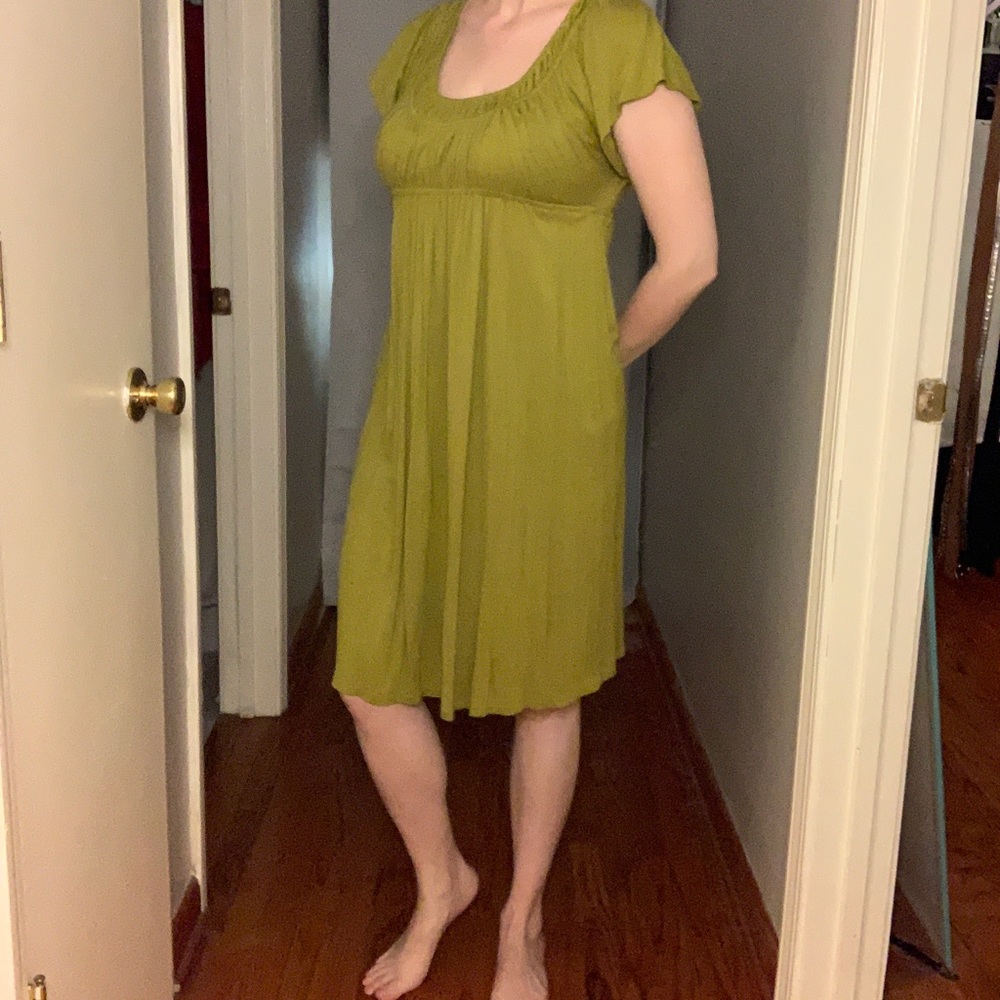 Liz Lange Green Empire Waist Maternity Dress